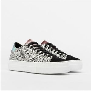 P448 Thea Low Top Platform Sneaker in Pepper Sz 38